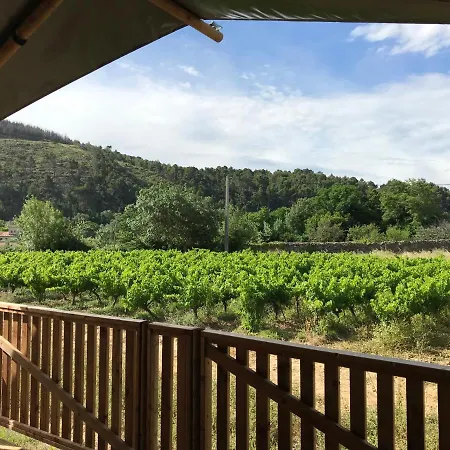 Safaritent Glamping De L'olivigne Bize-Minervois